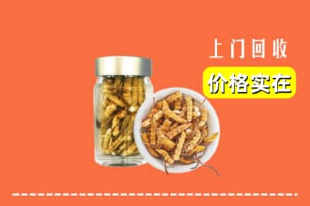 诚信求购:新密市高价回收散虫草