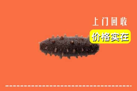 诚信求购:新密市高价回收海参