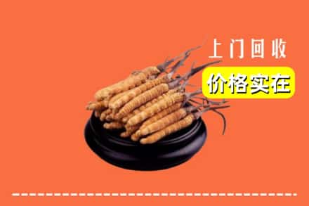 诚信求购:新密市高价回收冬虫夏草